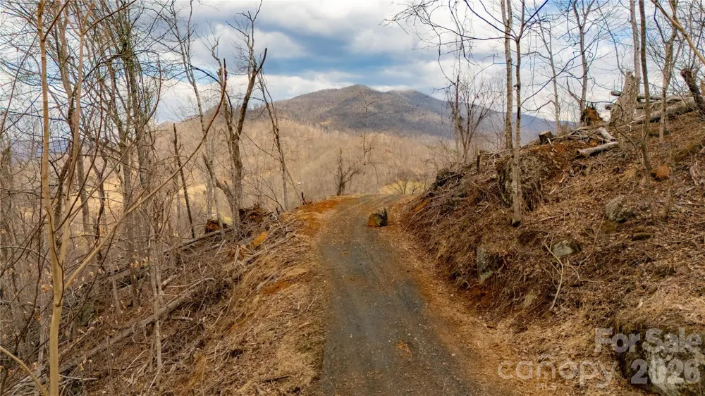 000 Elliotts Loop #123 & 124 Bakersville, NC 28705