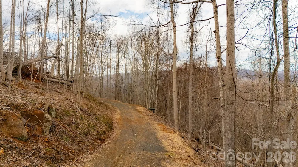 000 Elliotts Loop #123 & 124 Bakersville, NC 28705