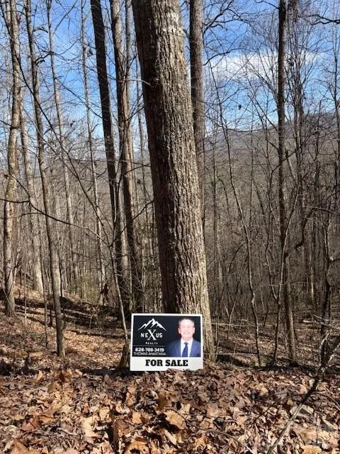 Lot 13 Henderson Road Franklin, NC 28734