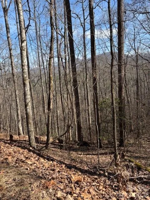 Lot 13 Henderson Road Franklin, NC 28734