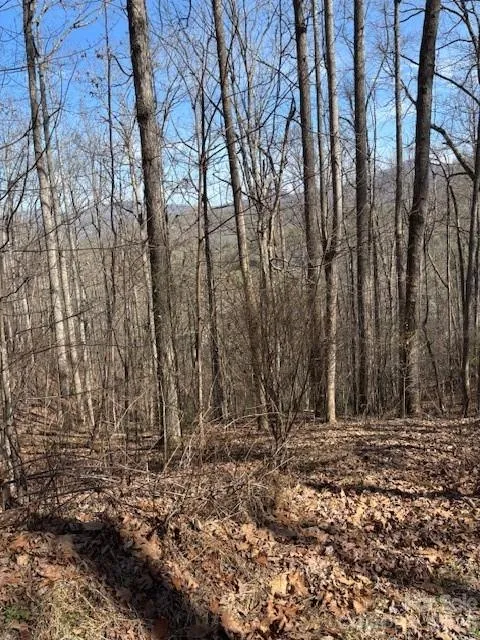Lot 13 Henderson Road Franklin, NC 28734