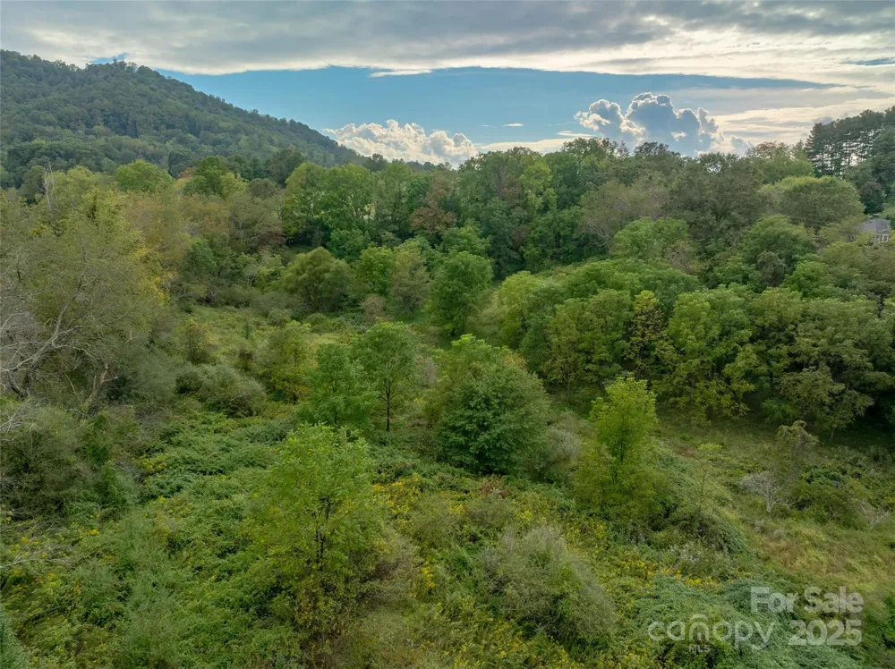 99999 Old Clyde Road Canton, NC 28716