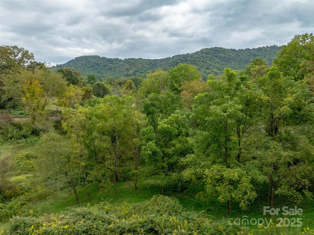 99999 Old Clyde Road Canton, NC 28716