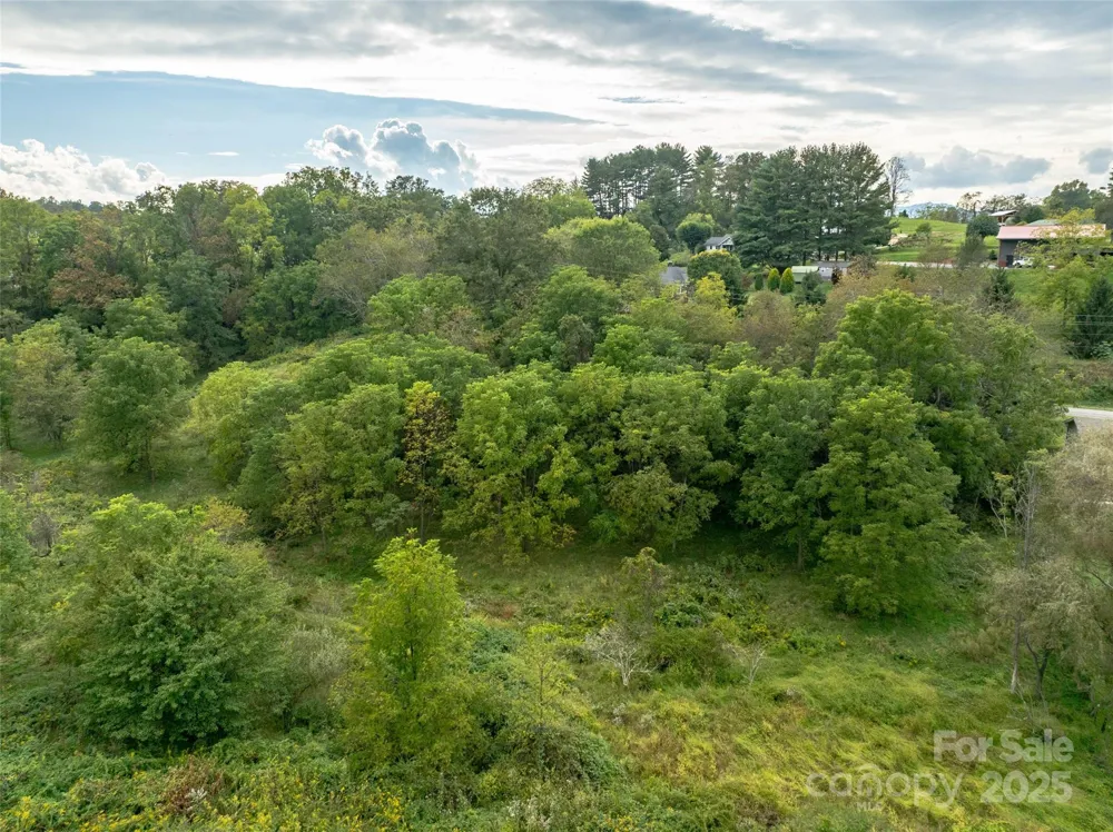 99999 Old Clyde Road Canton, NC 28716
