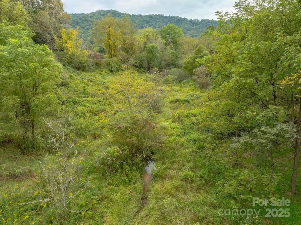 99999 Old Clyde Road Canton, NC 28716