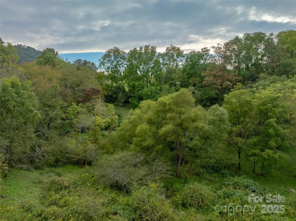 99999 Old Clyde Road Canton, NC 28716