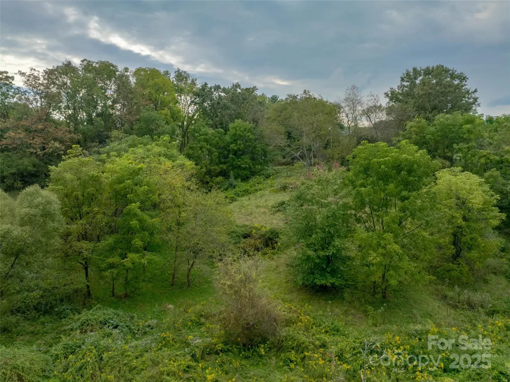 99999 Old Clyde Road Canton, NC 28716