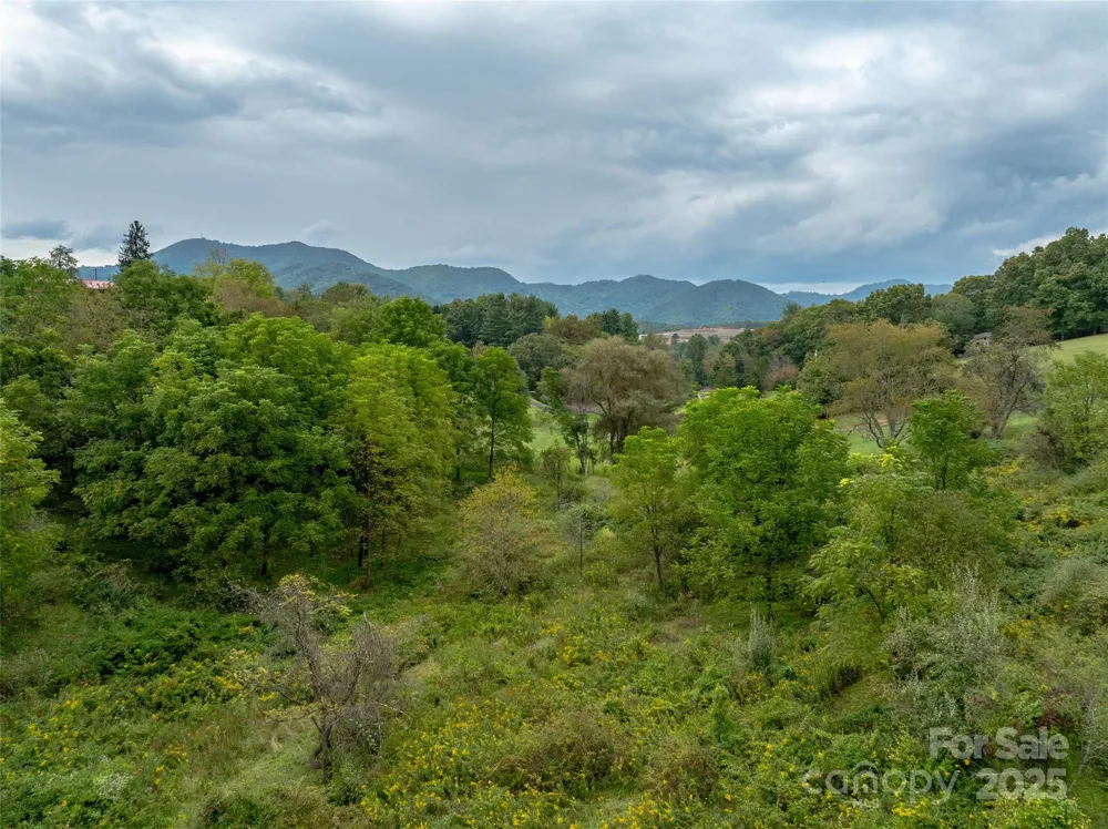 99999 Old Clyde Road Canton, NC 28716