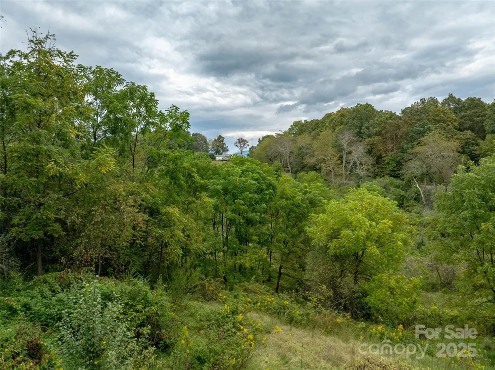99999 Old Clyde Road Canton, NC 28716