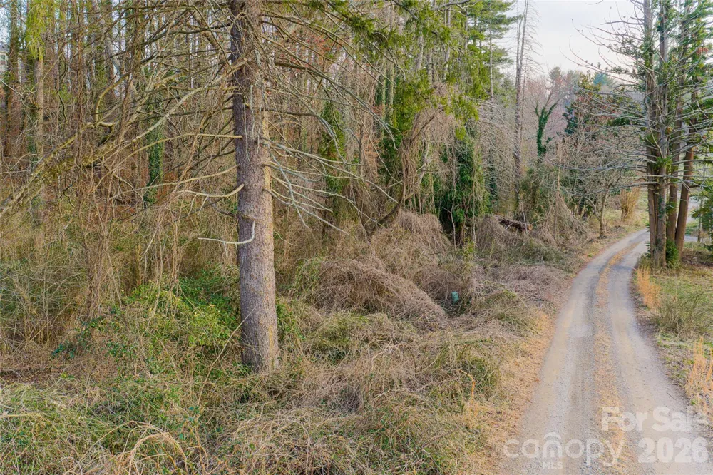 65 Owenby Road Candler, NC 28715