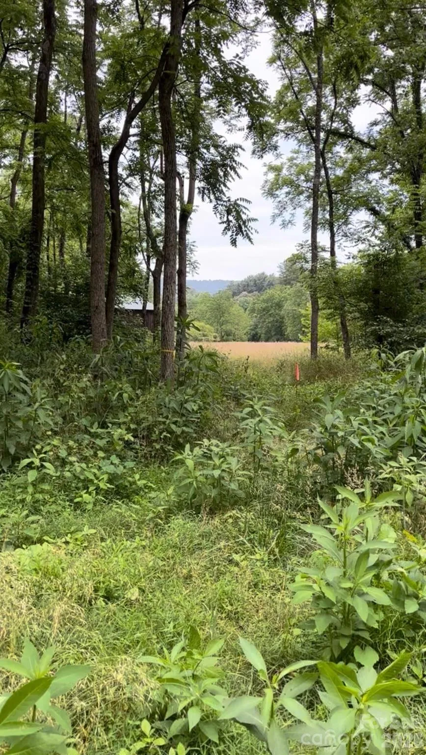 65 Owenby Road Candler, NC 28715