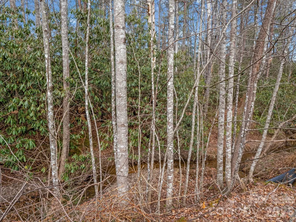 220 Jonathan Creek Drive Etowah, NC 28729