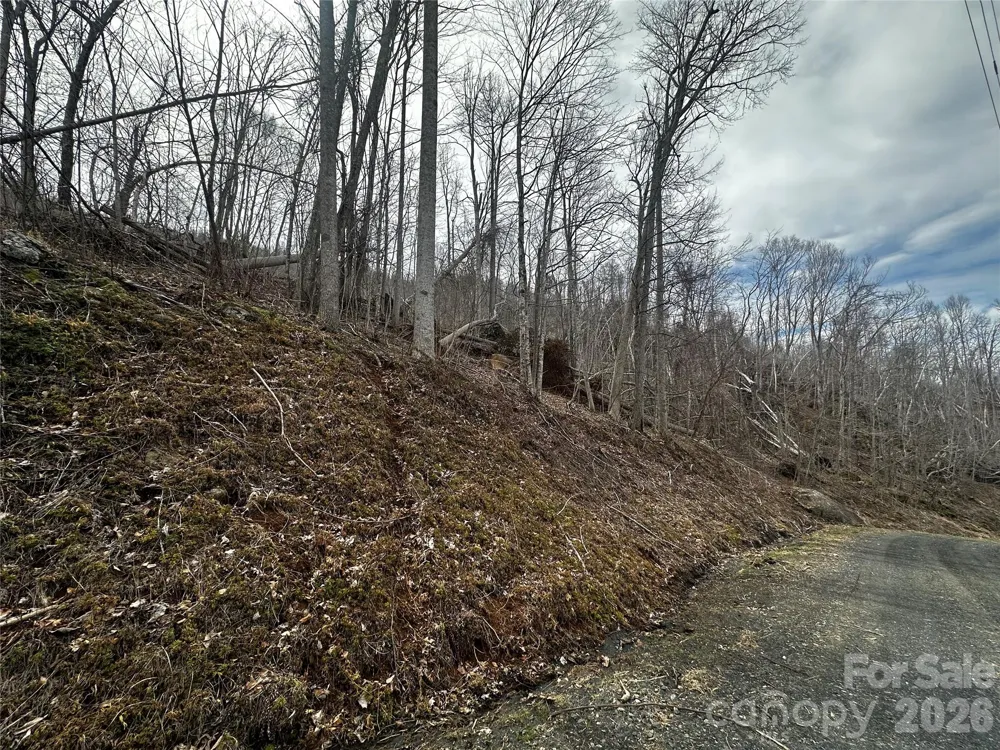 00 Bear Ridge Road Bakersville, NC 28705