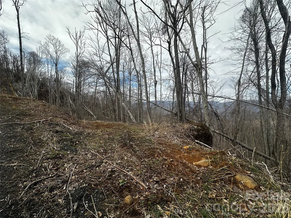 00 Bear Ridge Road Bakersville, NC 28705