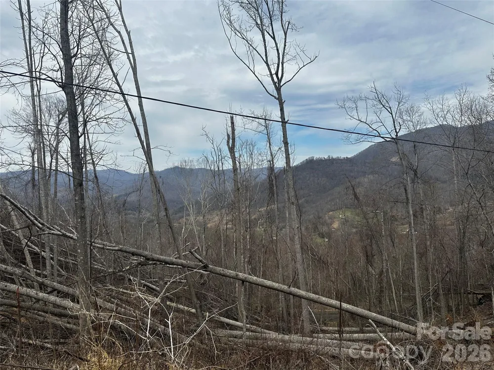 00 Bear Ridge Road Bakersville, NC 28705