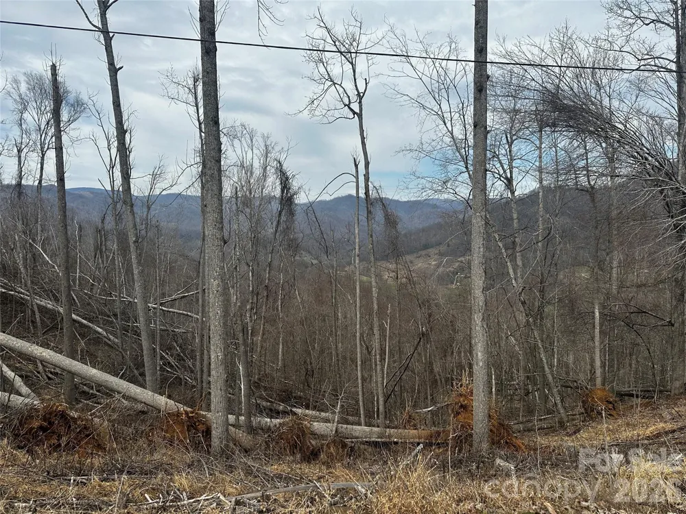00 Bear Ridge Road Bakersville, NC 28705