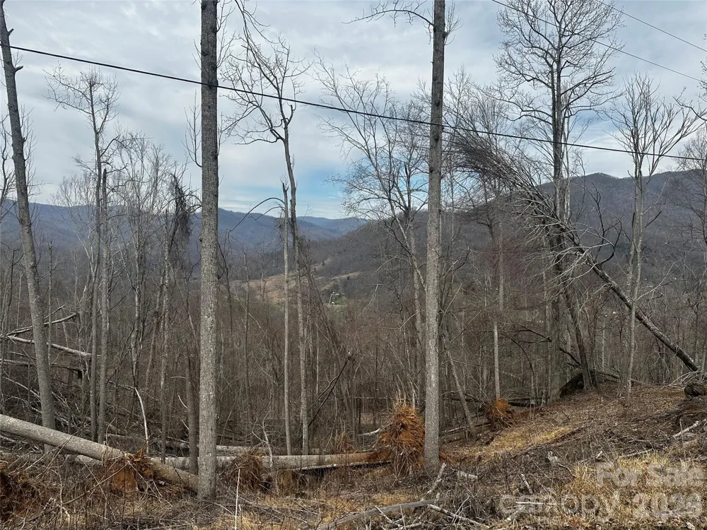 00 Bear Ridge Road Bakersville, NC 28705