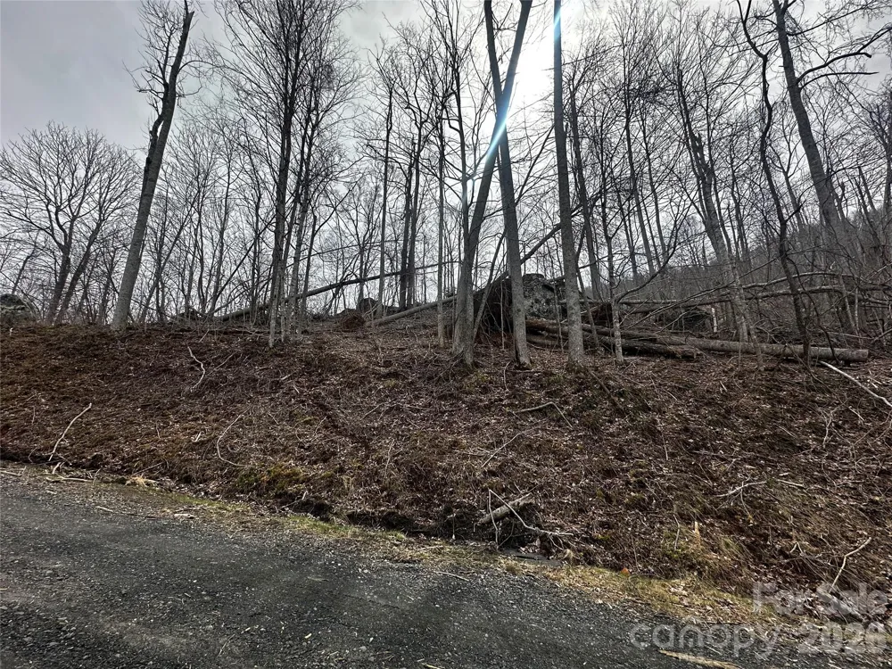 00 Bear Ridge Road Bakersville, NC 28705