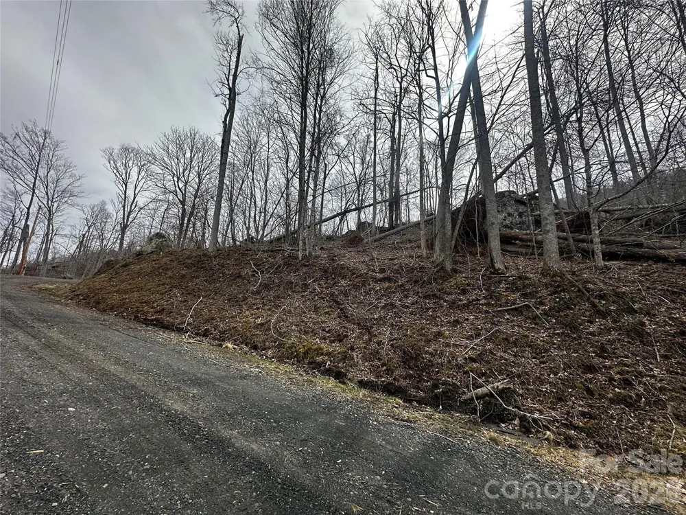 00 Bear Ridge Road Bakersville, NC 28705