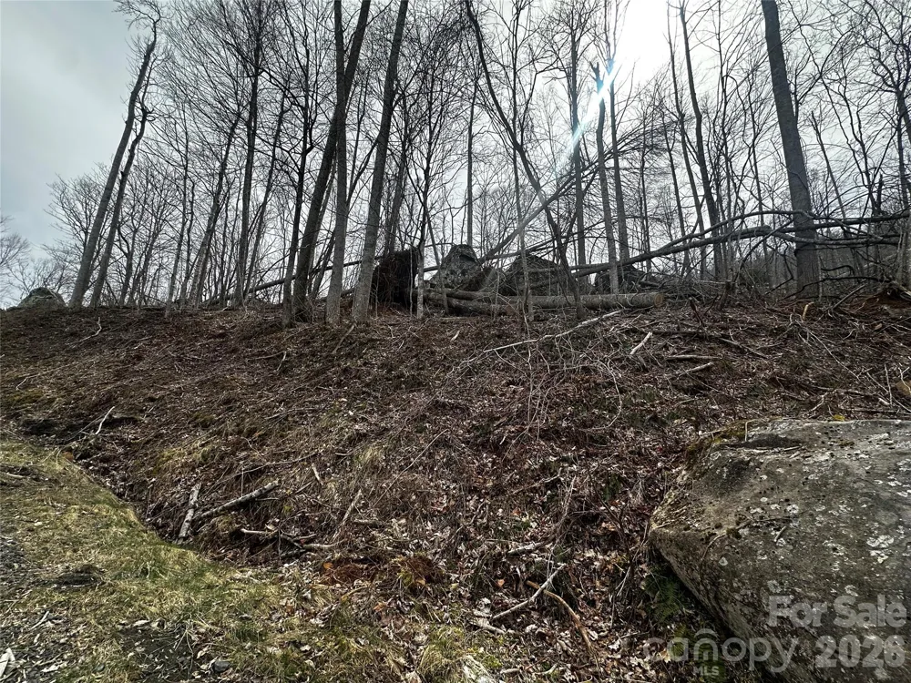 00 Bear Ridge Road Bakersville, NC 28705