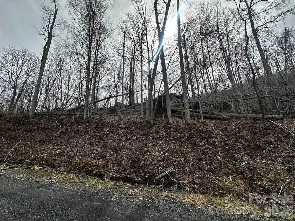 00 Bear Ridge Road Bakersville, NC 28705