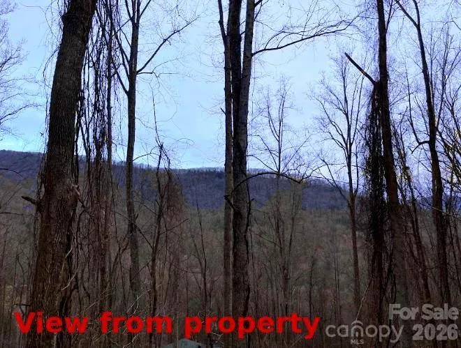 89 Weeping Cherry Forest Road Fairview, NC 28730