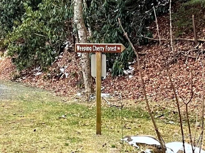 89 Weeping Cherry Forest Road Fairview, NC 28730