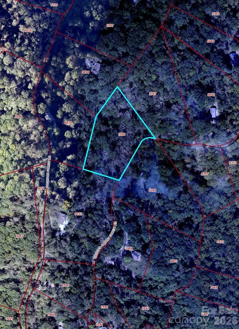 89 Weeping Cherry Forest Road Fairview, NC 28730