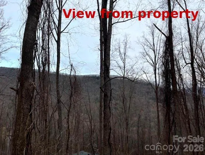 65 Weeping Cherry Forest Road Fairview, NC 28730