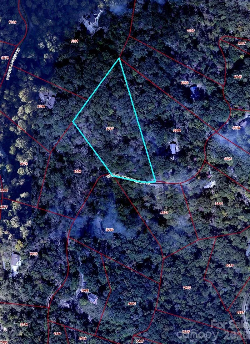 65 Weeping Cherry Forest Road Fairview, NC 28730
