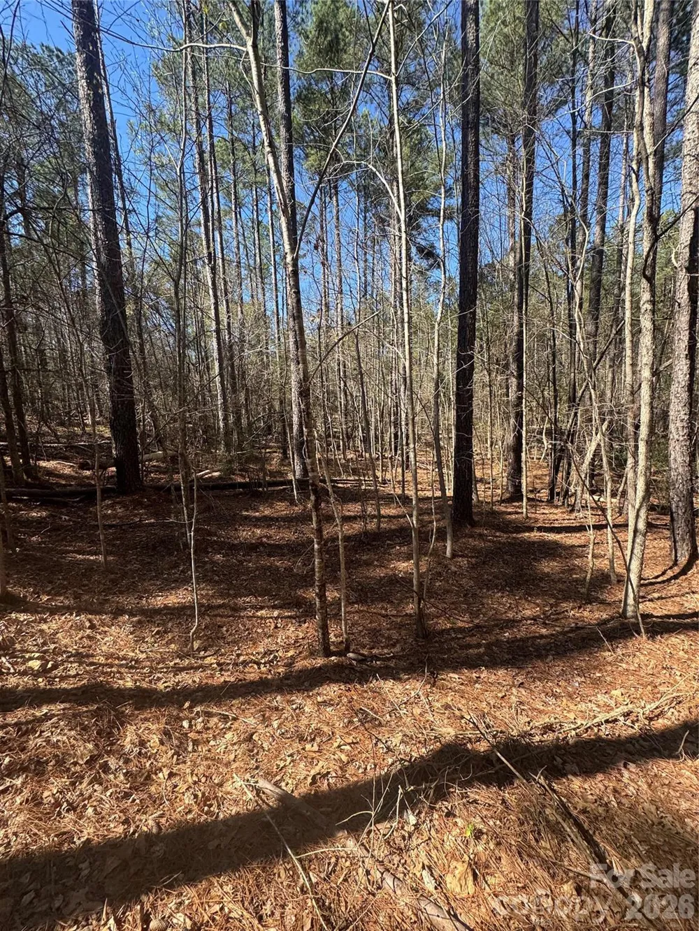 1802 Goings Road Chester, SC 29706