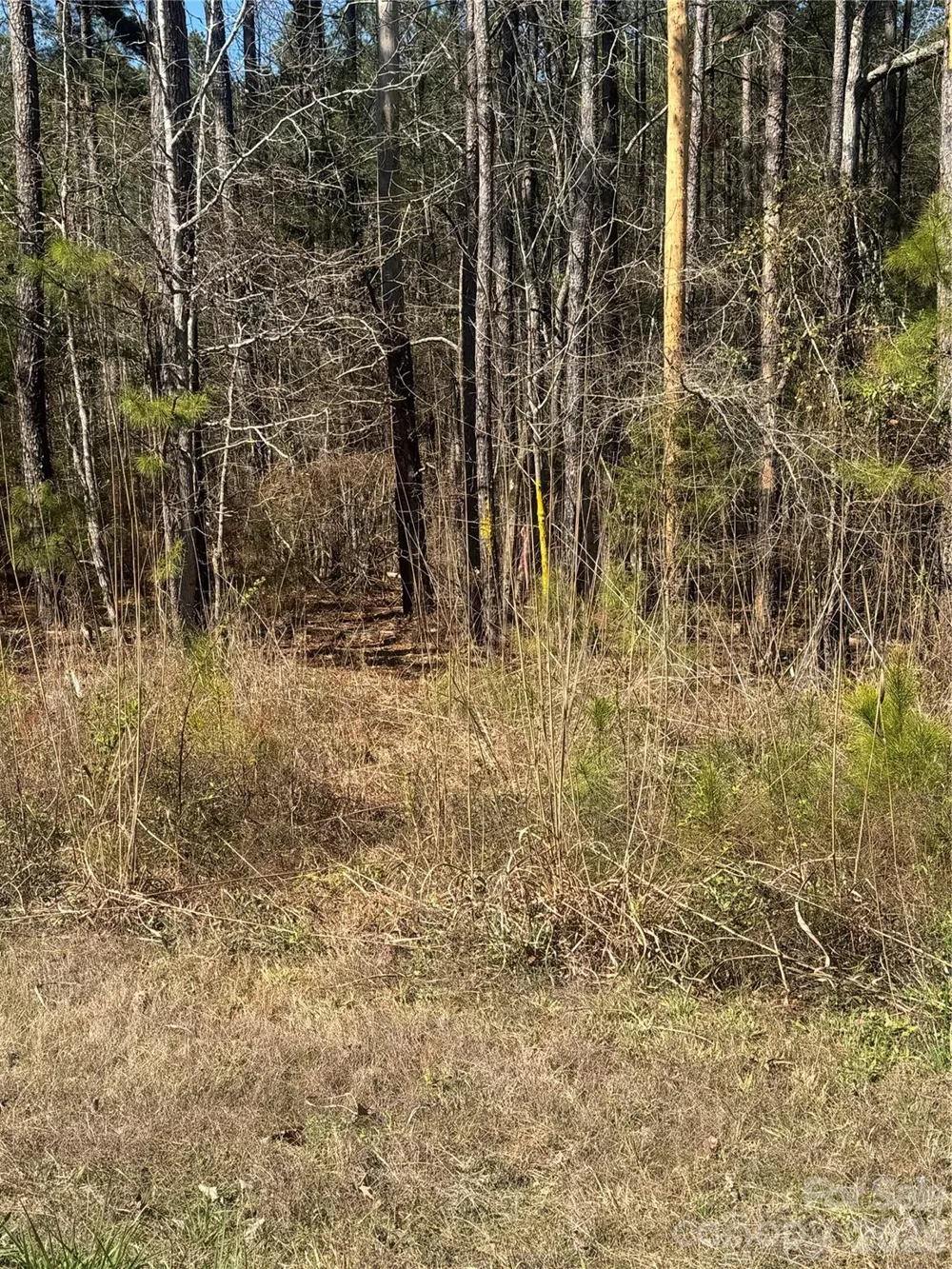 1802 Goings Road Chester, SC 29706