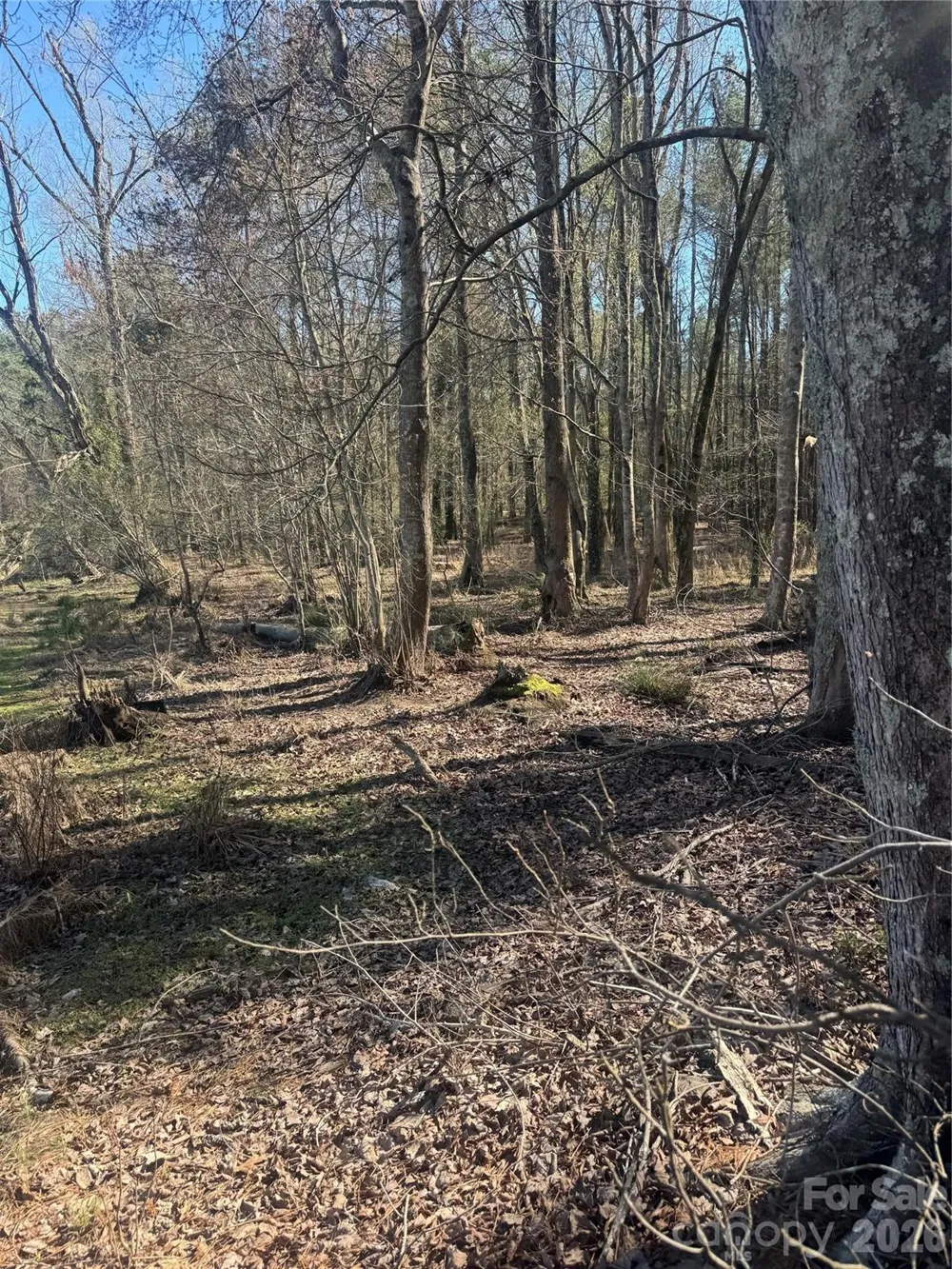 1802 Goings Road Chester, SC 29706