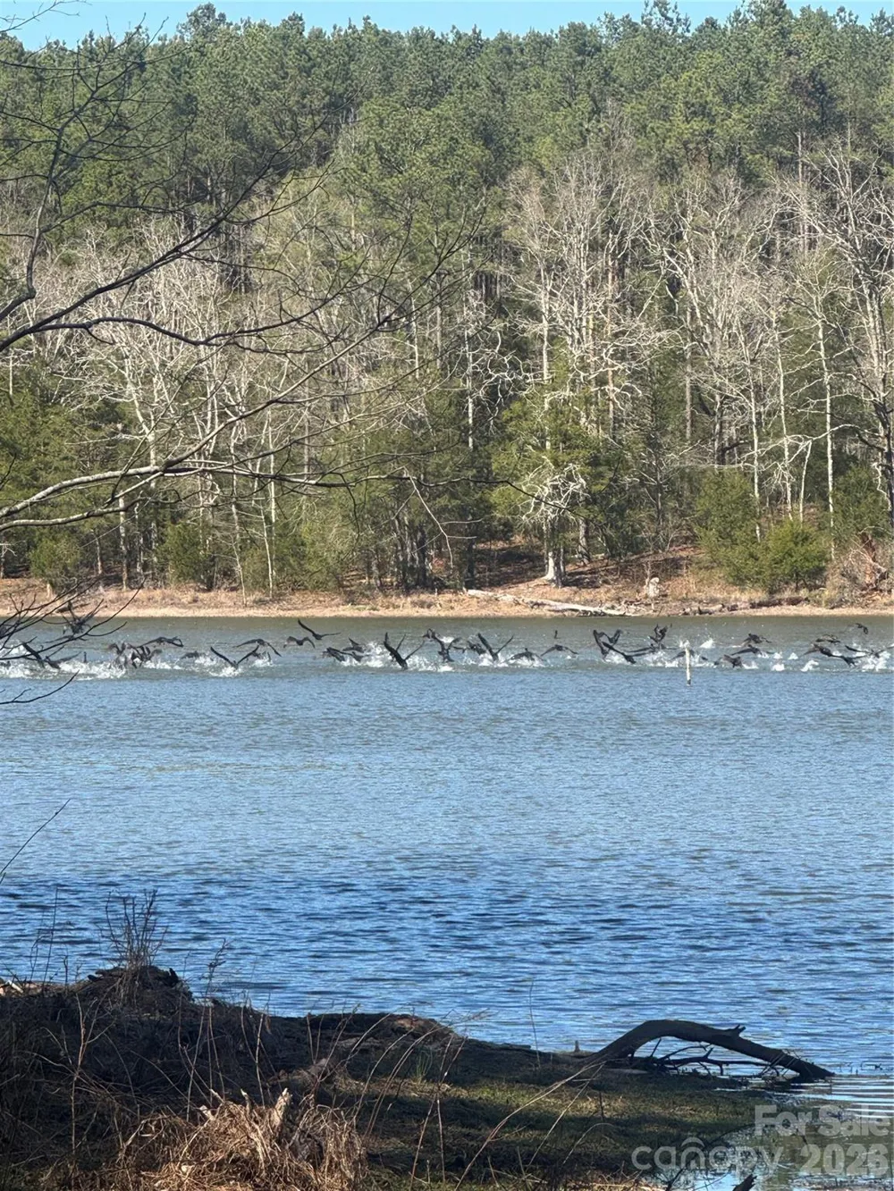 1802 Goings Road Chester, SC 29706