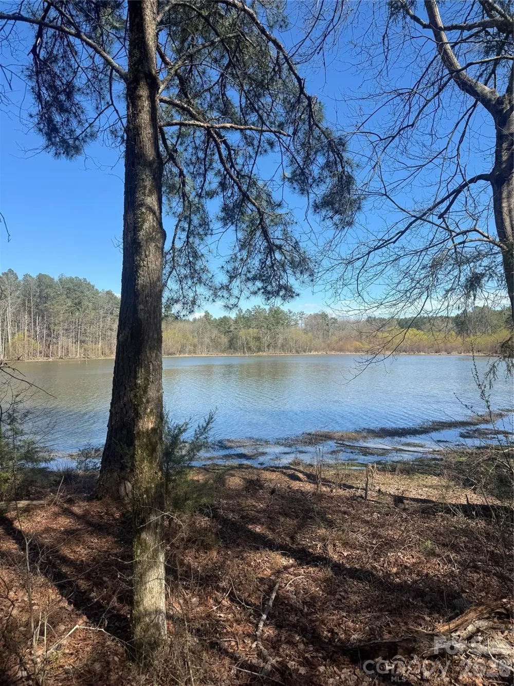 1802 Goings Road Chester, SC 29706