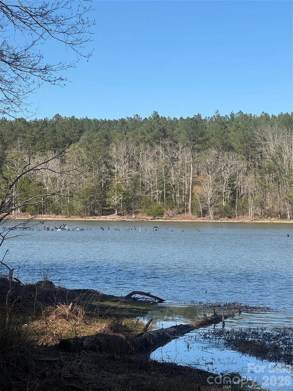 1802 Goings Road Chester, SC 29706
