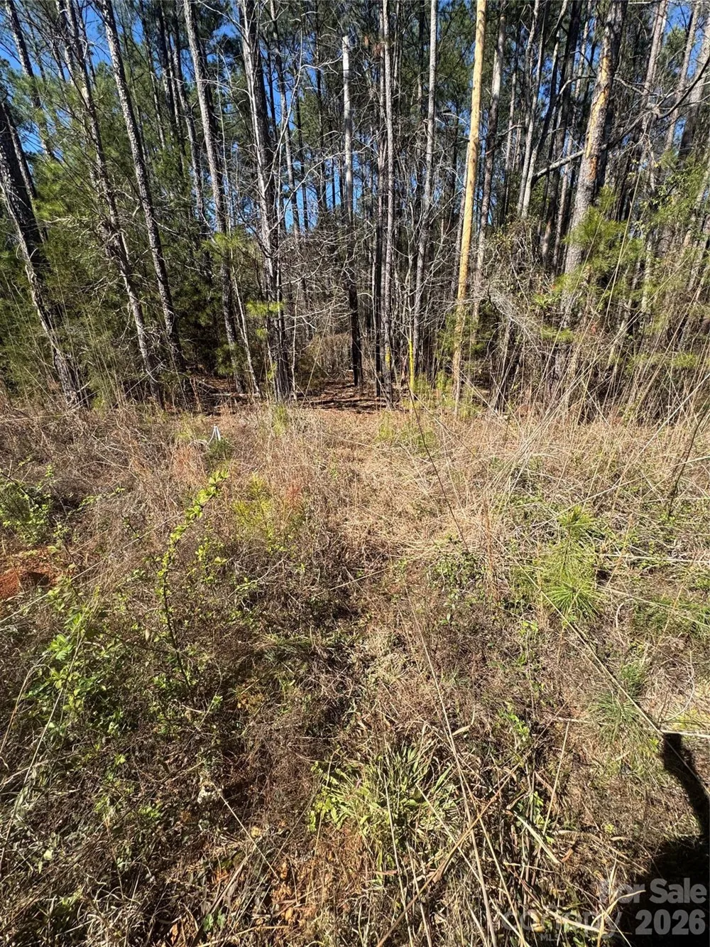 1802 Goings Road Chester, SC 29706