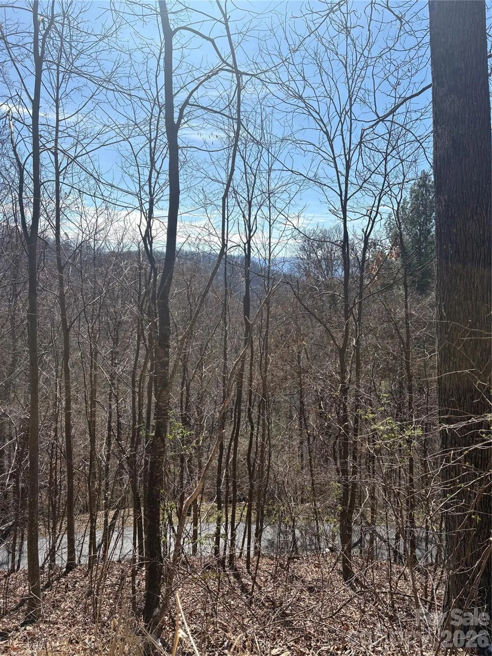 344 Running Deer Lane #71 Mars Hill, NC 28754
