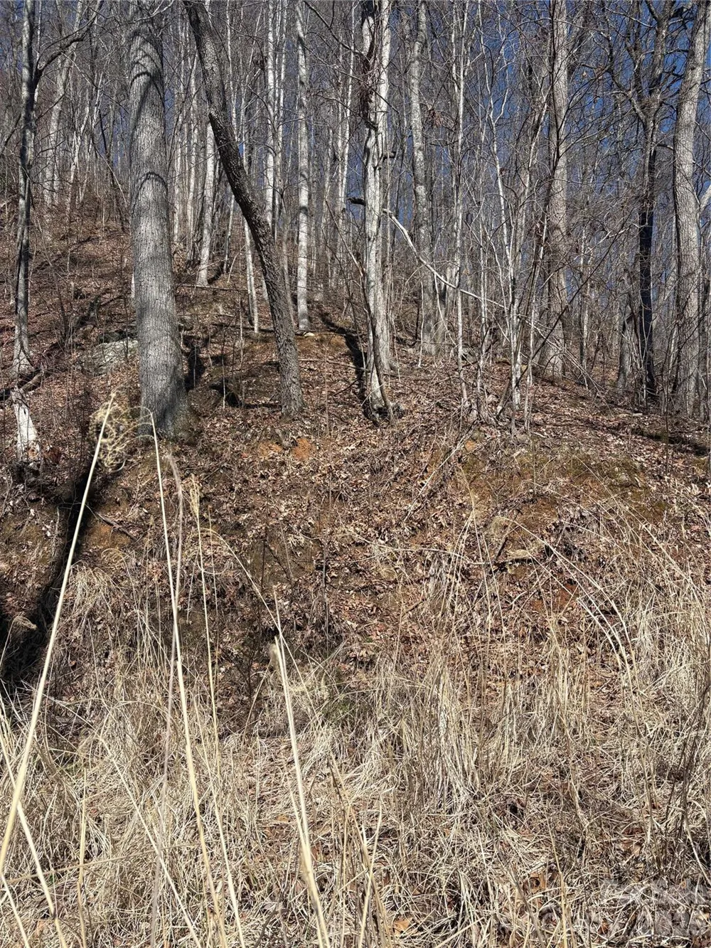 344 Running Deer Lane #71 Mars Hill, NC 28754
