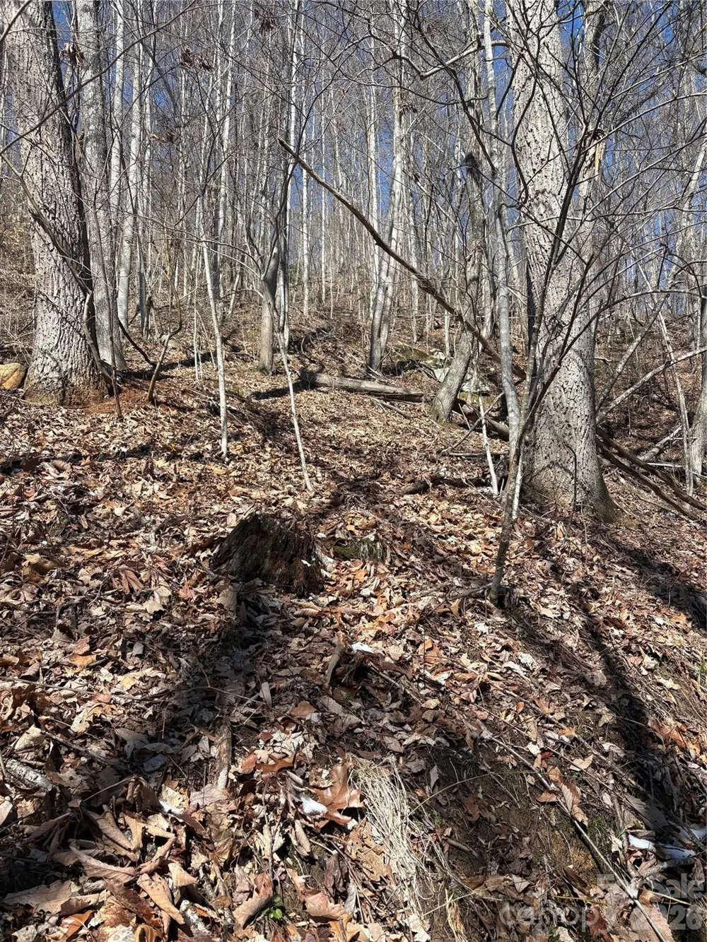 344 Running Deer Lane #71 Mars Hill, NC 28754