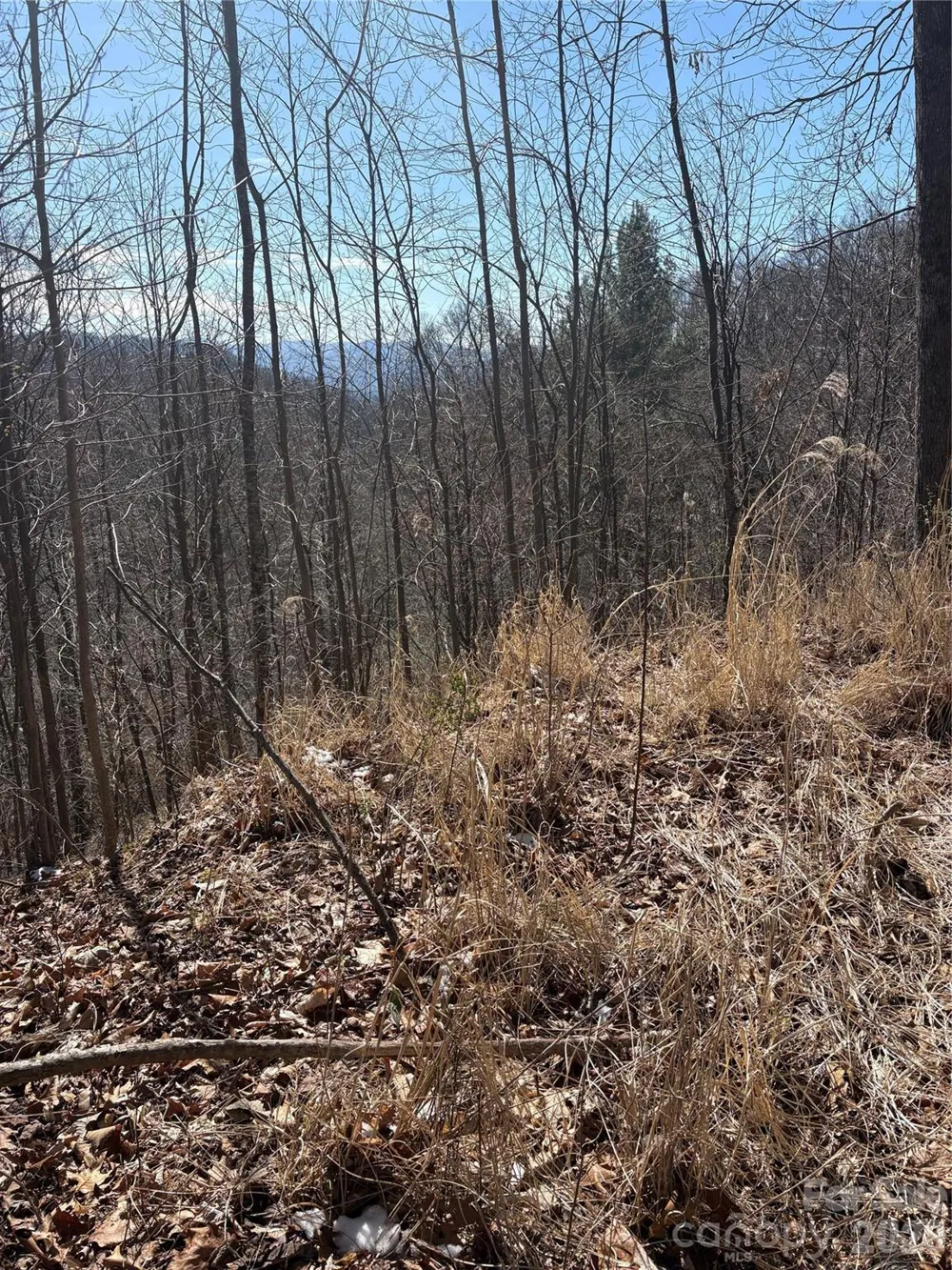 344 Running Deer Lane #71 Mars Hill, NC 28754