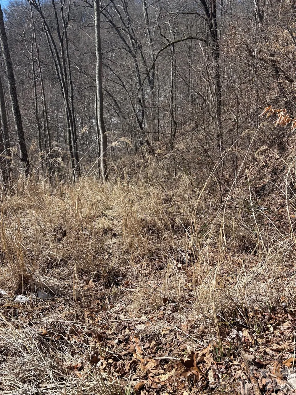 344 Running Deer Lane #71 Mars Hill, NC 28754