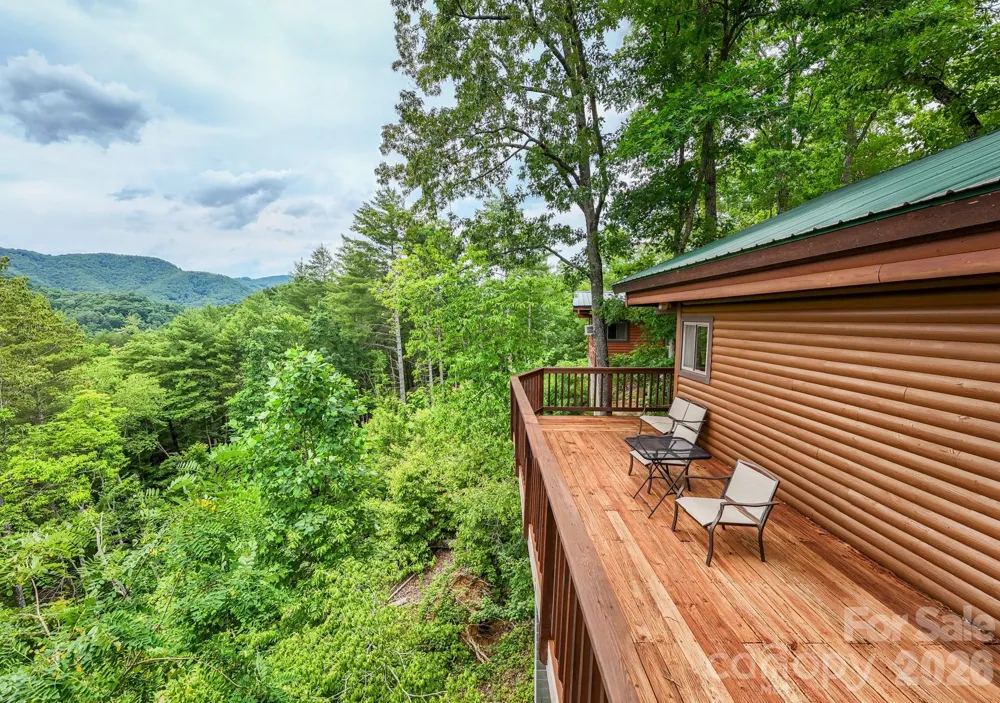 307 Blue Ridge Parkway Bryson City, NC 28713