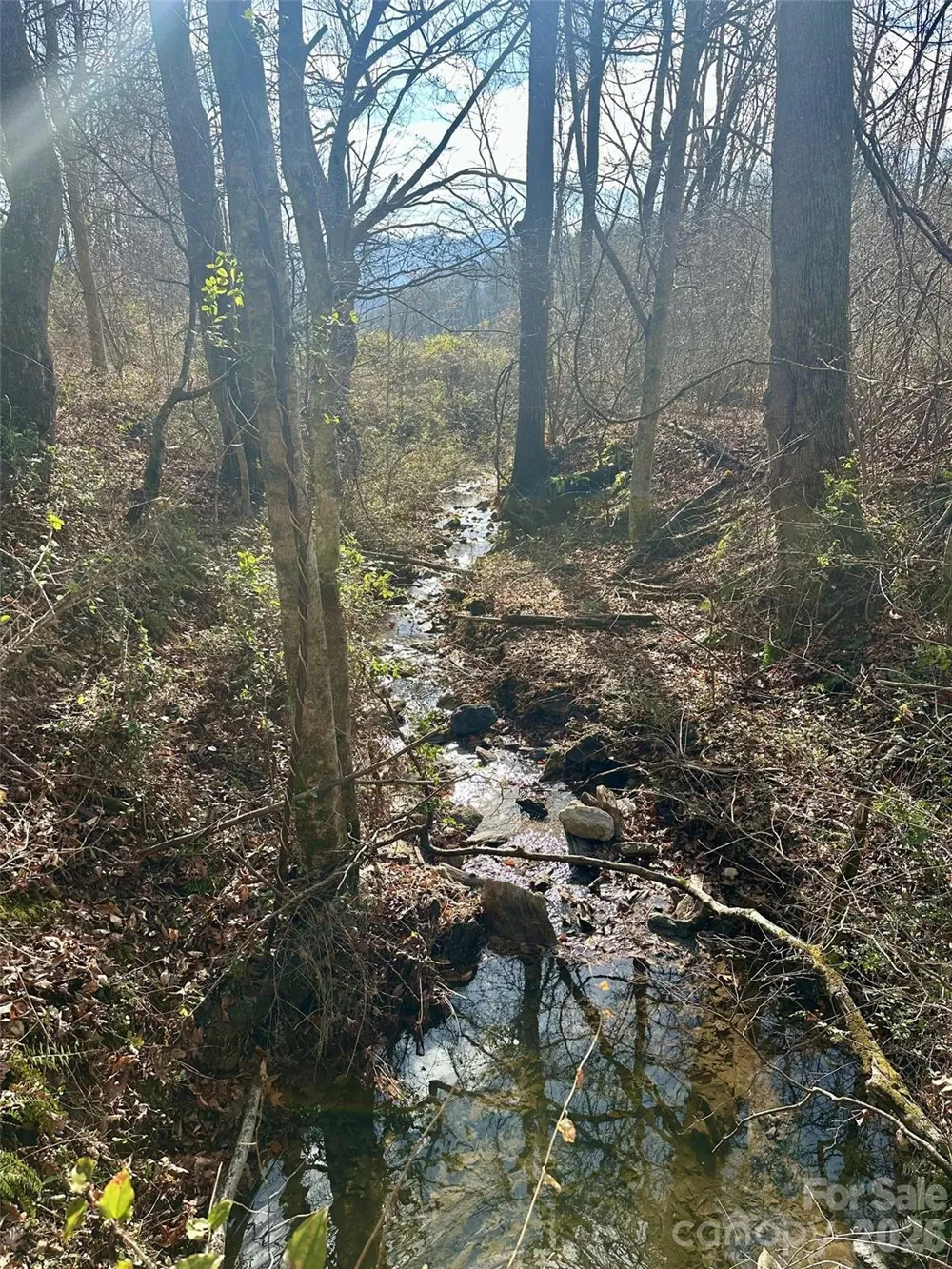 00 Queen Cove Road Waynesville, NC 28785