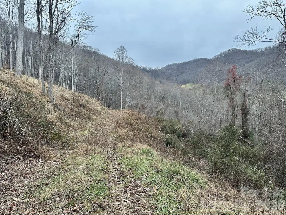 00 Queen Cove Road Waynesville, NC 28785