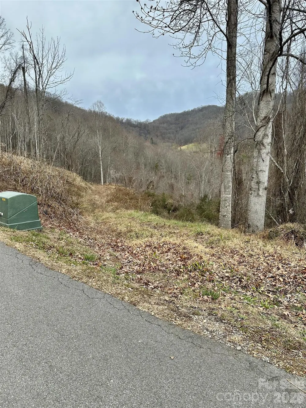00 Queen Cove Road Waynesville, NC 28785