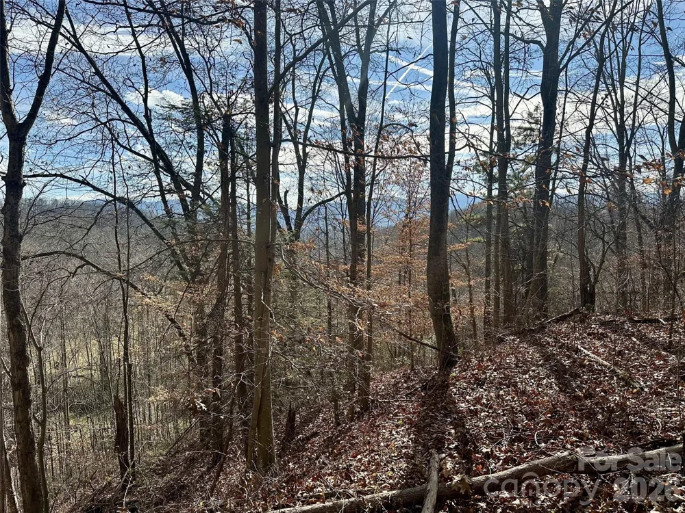 00 Queen Cove Road Waynesville, NC 28785