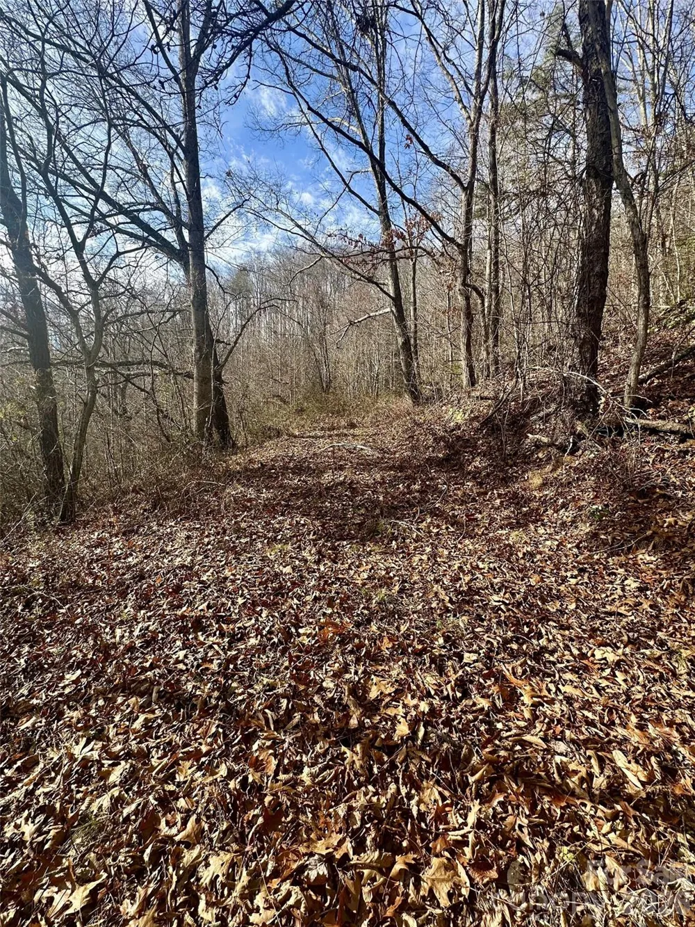00 Queen Cove Road Waynesville, NC 28785