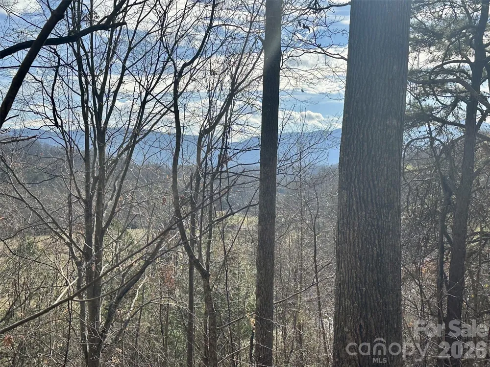 00 Queen Cove Road Waynesville, NC 28785