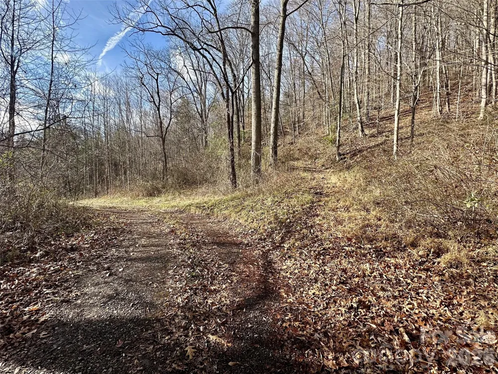00 Queen Cove Road Waynesville, NC 28785